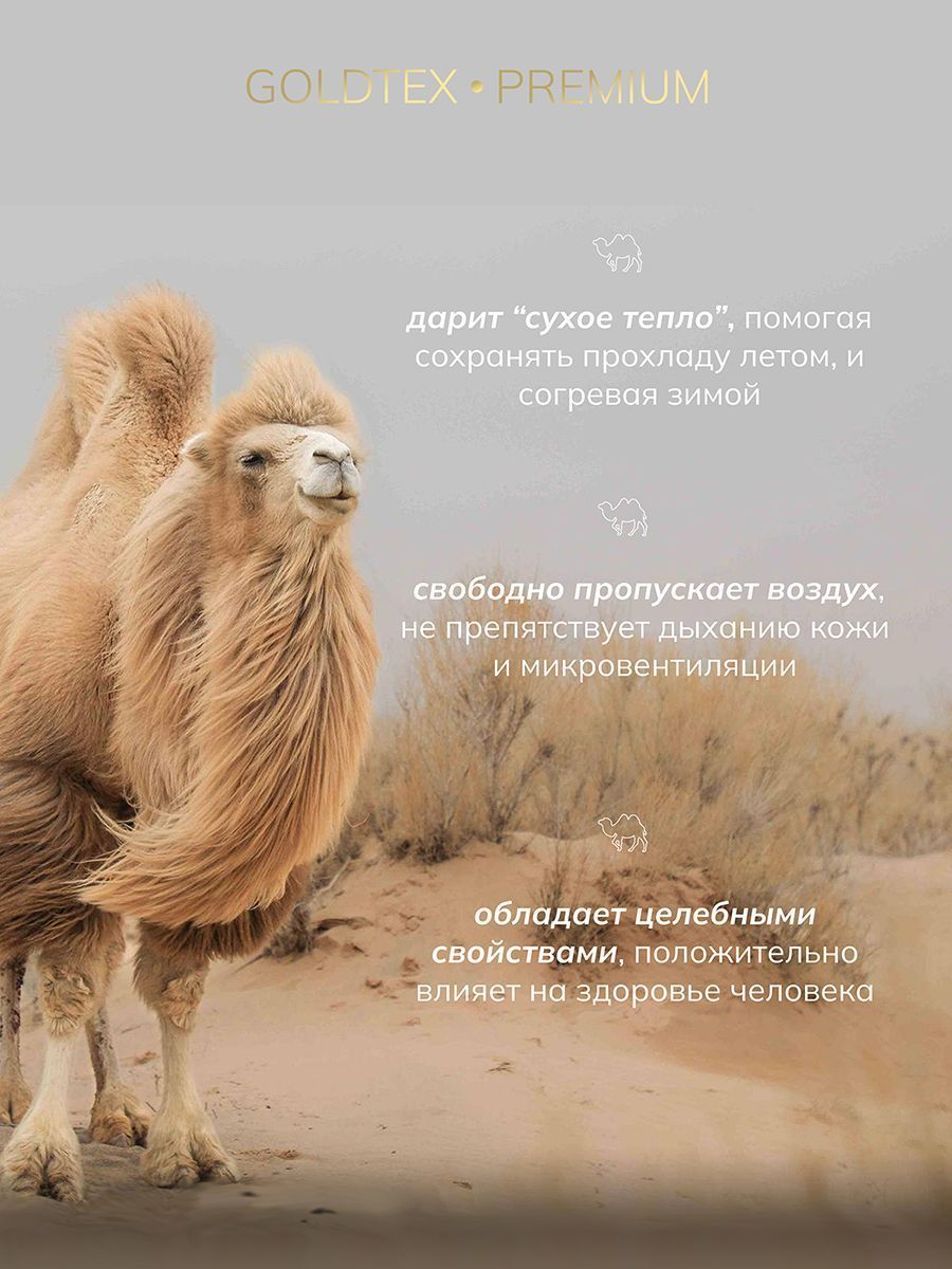 Подушка GOLDEN CAMEL (70*70)